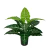 Fabricante de Plantas Verdes Artificiales, Hojas de Calathea, Plantas de Hojas de Colores, Plantas Verdes en Maceta de Piso, Árboles Artificiales, Decoración de Interiores para el Hogar, Suministro Transfronterizo