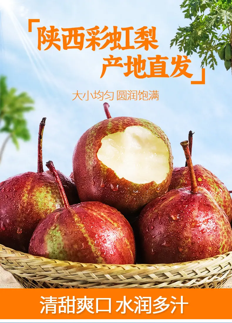 陕西稀世彩虹梨详情图1