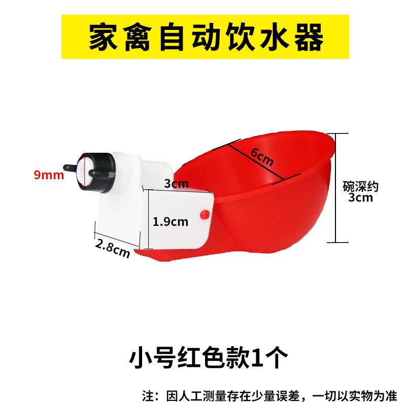 小号红色1