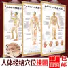 Mapa de Pontos de Meridianos do Corpo Humano Cartaz de Parede Desenho Colorido Cartaz de Parede Quase Grande HD Corpo Inteiro Saúde Moxabustão Massagem Personalização