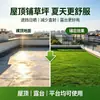 Alfombra de césped artificial para uso en exteriores, adecuada para patios, balcones y como borde decorativo; césped sintético de plástico verde para campo de fútbol; alfombra de césped artificial