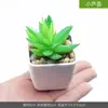Planta suculenta artificial em vaso flor artificial armário de vinho mesa pequenos enfeites plantas verdes escritório mesa de trabalho sala de estar decorações para casa