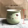 Maceta de flor de suculenta de dibujos animados, cerámica, transpirable, fresca, creativa, expresión linda, para flores y plantas suculentas, maceta para uso en casa