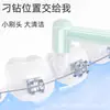 Escova Interdental Pontiaguda de Ponta Única para Aparelhos Ortodônticos, Especializada para Limpeza de Sulcos de Dentes do Siso e Espaços Ortodônticos, Escova de Cabeça Pequena