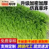 Grama Sintética Gramado Artificial Denso Espessado Área de Atividade Infantil de Jardim de Infância Plástico Grama Artificial Falsa Atacado
