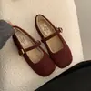 Sapatos Mary Jane calçado externo fivela de sapato temperamento mais veludo novo estilo sapatos de festa uma tira única outono e inverno versão coreana 2026 sapatos de pelo femininos