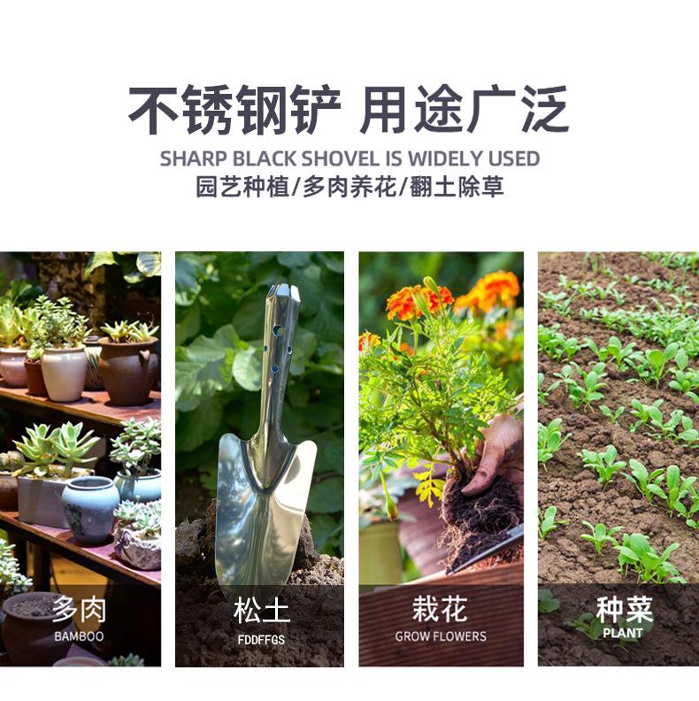 详情2