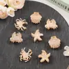 Presilha de Cabelo Estilo Ins com Tema Oceânico e Pedrarias Completas, Mini Presilha de Garra Aranha, Presilha de Tubarão Estrela do Mar de Alta Qualidade com Pedrarias Completas, Mini Presilha de Cabelo