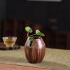 Adornos Florales Hidropónicos de Cerámica de Escritorio con Forma Especial Hechos a Mano Creativos Vintage Decoración para el Hogar Sala de Té Inserto para Flores Secas