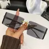 Gafas de Sol Curvas con Cabeza de Leopardo 2026 para Mujer, Gafas de Sol de Personalidad de Alto Nivel Y2K con Montura de Metal sin Borde y Corte de Precisión