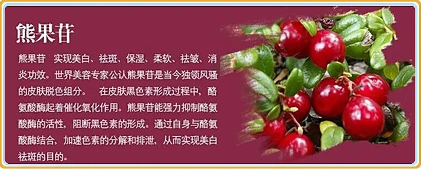 熊果苷详情1