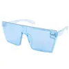Gafas de sol retro de montura grande coloridas transfronterizas personalidad tendencia europea y americana procesamiento personalizado de gafas de sol para mujer 2185