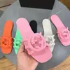 Novedad Verano 2025 Moda Casual Tendencia Antideslizante Planas Color Caramelo Chanclas de Playa para Exteriores para Mujer
