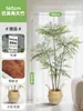 Planta Artificial Nandina de Alta Gama Estilo Lujo Ligero Maceta Decoración para Sala de Estar Interior Adorno de Pie Árbol Falso Biomorfo