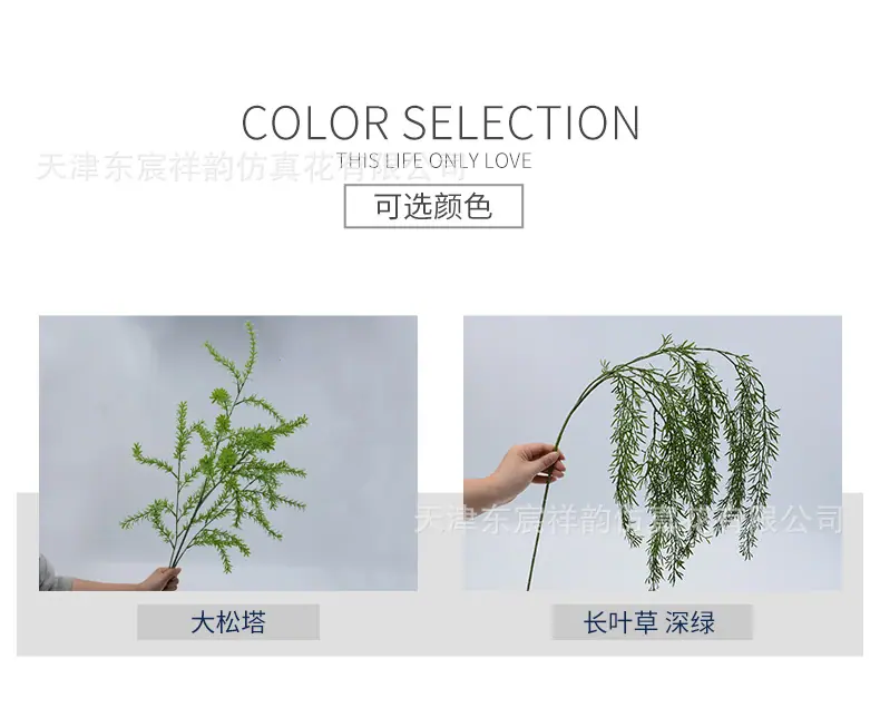 详情_03.jpg