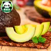 Aguacates grandes y frescos, 15 piezas, listos para comer, de temporada, caja completa con envío gratis, aptos para mujeres embarazadas, aguacates completamente maduros