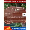 Etiquetas de árbol de acero inoxidable hechas a medida, etiquetas de nombres de plantas, letreros de identificación de flores y hierbas, y descripciones de árboles para campus, lugares escénicos y parques.
