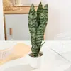 Planta Hypoxis em Vaso com Folhas Altas, Nervuras Prateadas, Pernas Longas, Folhas Verdes, Planta em Vaso Simulada, Sala de Estar Interna, Escritório Fabricante Atacado