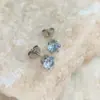Comercio Exterior al por Mayor Venta Caliente Corona Acero Inoxidable Circonita Pendientes de Seis Garras Pequeños Pendientes Hueso del Oído de Acero de Titanio Uñas para el Oído Joyería Popular para Mujer