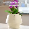 Maceta de Cerámica con Plato para Uso en el Hogar, Exquisita Estilo Ins Blanco Lujo Ligero Minimalista Estilo Crema Maceta para Orquídeas Suculentas