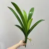 Plantas verdes artificiais, orquídeas pendentes, folhas de orquídea, decorações de micro paisagem, itens decorativos para quartos modelo, decoração macia de piso, plantas falsas