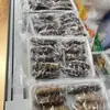 Se han enviado paquetes pequeños a Pepino de Mar de Dalian y Pepino de Mar de Liao Pepino de Mar Listo para Comer Productos Acuáticos Frescos 500G/Caja 10-12 Piezas