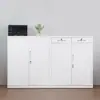 Archivero de oficina de acero plegable, gabinete integrado de almacenamiento de documentos metálico, instalación rápida, hecho a medida desde la fuente