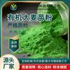 Pó de Broto de Cevada, Pó de Matéria-Prima Biológica Yuzhou, Pó Solúvel em Água de Folha de Cevada, Pó de Suco Verde, Grande Quantidade, Preço Favorável, em Estoque