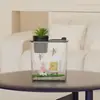 Acuario de Plástico para el Hogar, Tanque No Reflectante para Peces Dorados, Acuario Multifuncional, Mini Tanque para Guardar Peces Ornamentales Acrílicos