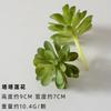 Suculentas Simuladas, Decoraciones de Plantas Verdes, Combinación de Mini Adornos de Cactus, Plantas Suculentas en Maceta, Bonsái al Por Mayor