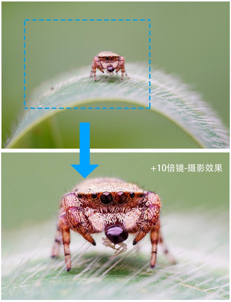 10倍效果