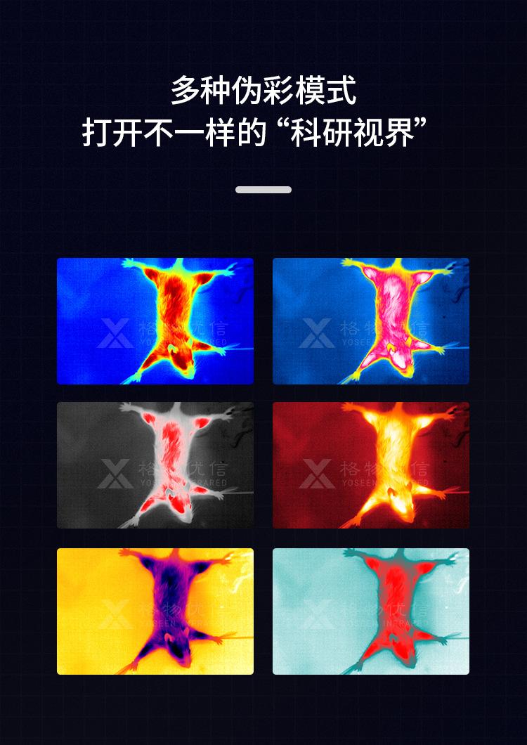 小白鼠癌症科研热成像监测系统_06