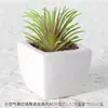 Maceta combinada de bonsái de cerámica con suculentas simuladas personalizadas, adornos de plantas verdes, decoración de oficina, escritorio, hogar, plantas verdes en maceta