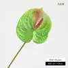 Lírio-de-Fogo Artificial, Planta Decorativa Estilo Ins, Planta Verde, Lírio Branco de PU, Lírio Vermelho, Flor Artificial, Arranjo para Corredor de Casamento, Arte Floral para Paisagismo de Jardim