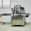 Guangzhou Máquina Rellenadora de Tubo Único Máquina Rellenadora de Bomba de Engranajes Máquina Rellenadora de Tubo Único Máquina Rellenadora de Alta Velocidad de Cabezal Único Venta al por Mayor en Stock