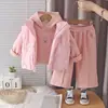 Conjunto matelassê feminino estilo coreano de três peças, apresentando um colete de algodão com gola alta cintilante, combinado com uma blusa de moletom com capuz bordada de borboletas e calças compridas casuais.