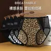 2026 Nuevas Bragas de Malla con Elementos de Leopardo, Femeninas de Seda de Hielo Algodón Puro Transpirables en la Entrepierna de Cintura Media Sin Costuras para Mujer