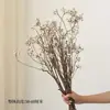 Fruta de Banyan Fruta Blanca Pequeña Flor Seca Ramo Ramas Tronco de Árbol B&B Ramas Secas Decoración de Fruta Seca Arreglo Floral Wabi-Sabi Flores Reales Secadas al Aire