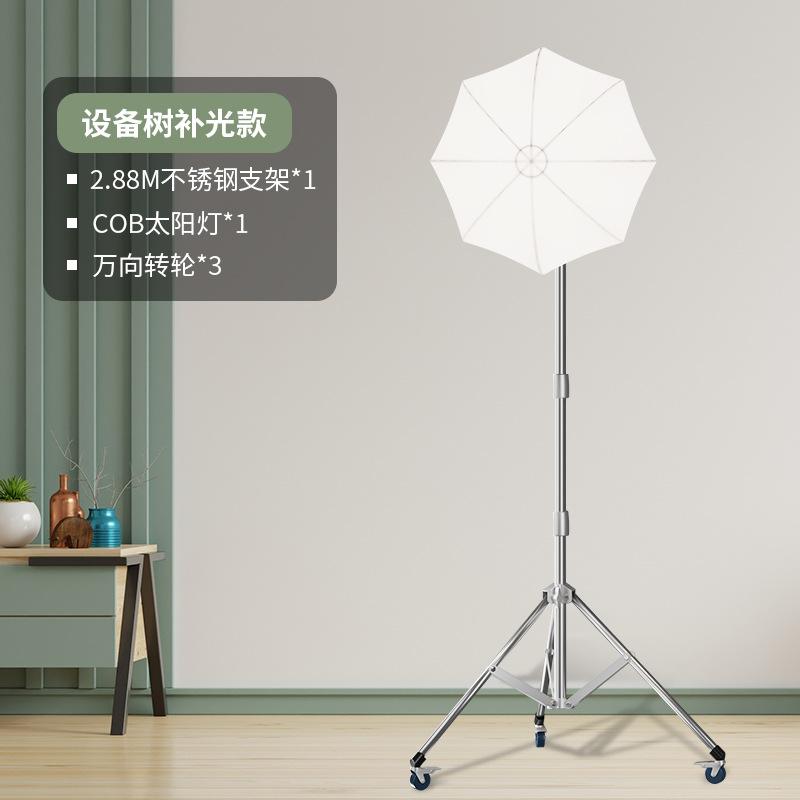 设备树补光款.jpg