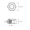 Porca Autotravante de Nylon Galvanizada Din985 Porca Autotravante Porca Antifolga Porca de Parafuso M3M4M5M6Mm8M10