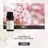 Fabricante de Fuente de Aromaterapia Aceite Esencial de Aromaterapia Soluble en Agua 10 ml Fragancia Vegetal L Difusor Ambientador Máquina de Aromaterapia Aceite Esencial