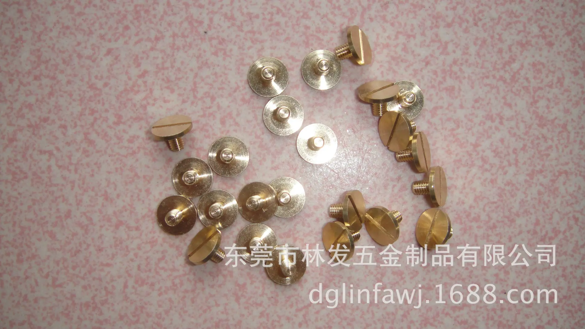 DSC03501