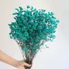 Ramo Eterno de Yunnan Hierba de Cristal Flores Preservadas de Colores Accesorios Florales Decoración del Hogar DIY Flores Secas Accesorios para Fotografía