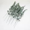 Folhas Simuladas Folhas de Eucalipto, Folhas de Dinheiro em Filme, Móveis para Casamento e Casa, Plantas Verdes Simuladas Decorativas, Transfronteiriço