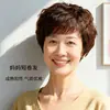 Peruca para Mulheres de Meia-Idade e Idosas, Estilo Mãe, Peruca de Cabeça Inteira, Cabelo Real, Cabelo Curto Cacheado, Todo Cabelo Humano Real, Natural, Peruca Fina de Verão