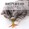 Juguete para Gatos Bola de Hierba Gatera Pluma Masticable Autoentretenimiento Alivio del Aburrimiento Disco de Hierba para Gatos Bola Palo para Provocar Gatos Eliminación de Pelo de Gato Especial para Gatos