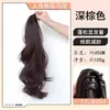 Peluca de Cola de Cabello Liso Versátil y Elegante para Mujer, Extensiones de Cabello Invisibles Sin Costuras, Potenciador de Volumen de Cabello Esponjoso, Banda Elástica para el Cabello, Trenzas Falsas