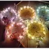 Lanternas Prontas para Venda no Atacado, Não Requer Montagem, Conjunto de Dez Peças, Lanternas de Coelho, Lanternas de Palácio, Festival do Meio Outono, Dia de Ano Novo, Festival das Lanternas, Lanternas de Pena, Novos Estilos de Hanfu