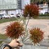 Nova bola de lã verde flor de simulação de casamento comércio exterior 3 bolas de cabelo branco casamento segurando na mão fundo casa flores artificiais atacado