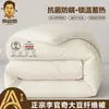 Núcleo de colcha de fibra de soja Clase A Li Guanqi colcha de soja para madre e hijo colcha fresca de verano colcha gruesa y cálida de invierno colcha de primavera y otoño